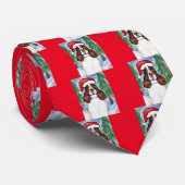 CRAVATE SPRINGER SPANIEL ANGLAIS (Roulé)