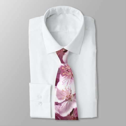 Cravate Sprung de printemps (Attaché)