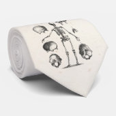 Cravate Squelettes antiques squelettiques d'anatomie de (Roulé)