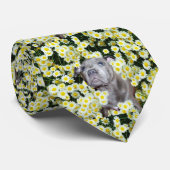 Cravate Staffordshire Bull Terrier Puppy Dans Les Fosses, (Roulé)