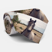 Cravate Star The Arab Pony, (Roulé)