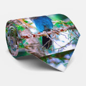 Cravate Steller's Jay - Photographie originale (Roulé)