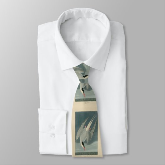 Cravate Sterne arctique des oiseaux d'Amérique d'Audubon (Attaché)