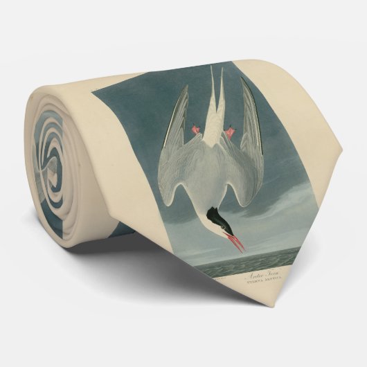 Cravate Sterne arctique des oiseaux d'Amérique d'Audubon (Roulé)