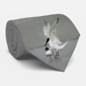 Cravate Sternes de poursuite de sandwich (Roulé)