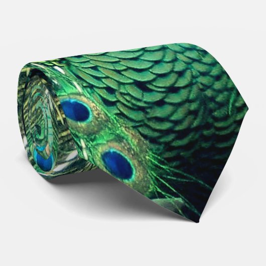 Cravate Strut Peacock (Roulé)