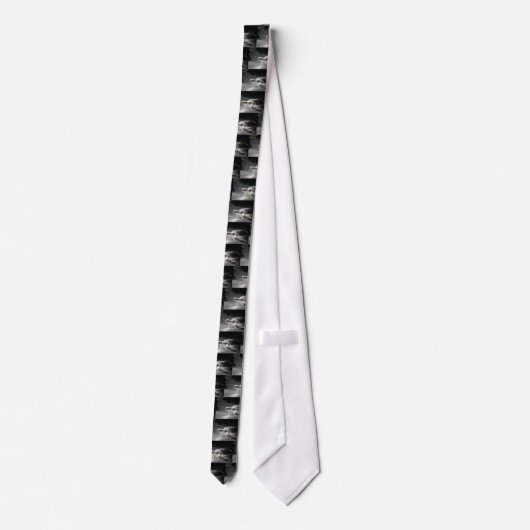 Cravate Style tortue (Dos)