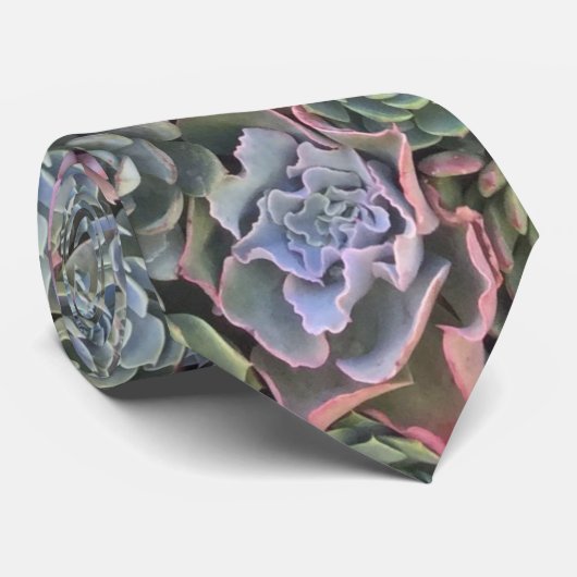 Cravate Succulent en pastel coloré (Roulé)
