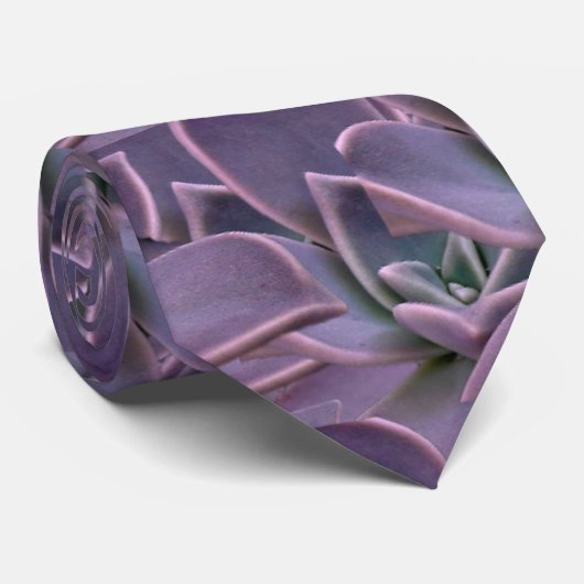 Cravate Succulent pourpre (Roulé)