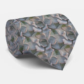 Cravate succulente colorée (Roulé)