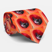 Cravate Sugar Glider in Orange Hanging Bed (Roulé)