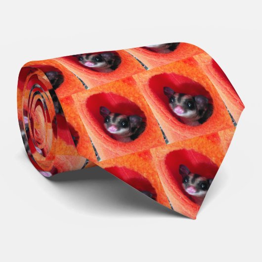 Cravate Sugar Glider in Orange Hanging Bed (Roulé)