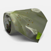 Cravate Sunlit White Azaleas Beautiful Spring Flowers (Roulé)