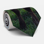 Cravate Sunset de la ferme de bovins (Roulé)