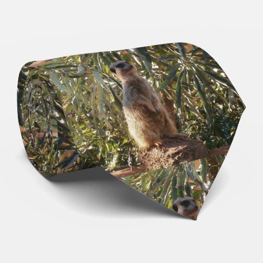 Cravate Suricate et papillons bleus, (Roulé)