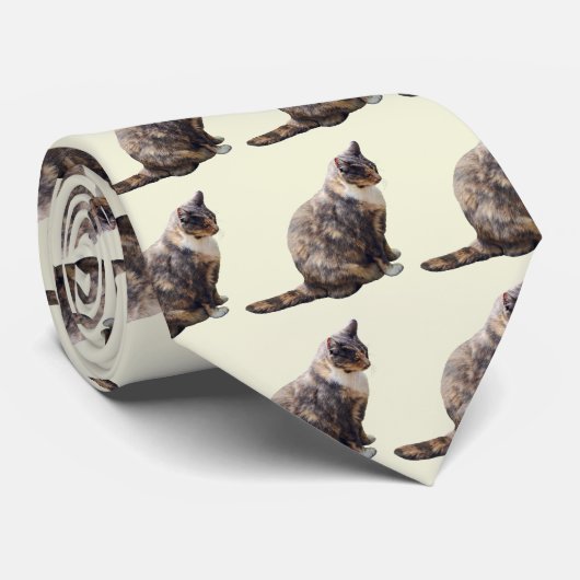 Cravate Tabby Chat dans les nuances de Brown (Roulé)