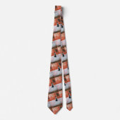Cravate Tableau Oriental Sunset par Alfred Fox (Devant)