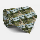 Cravate Tamia du Montana (Roulé)