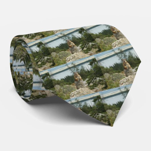 Cravate Tamia du Montana (Roulé)