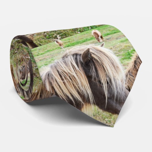 Cravate Tan Coloré Shetland Pony, (Roulé)