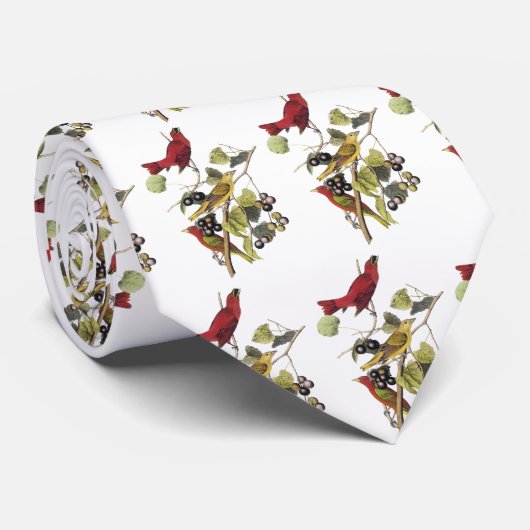 Cravate Tanager d'été par John Audubon (Roulé)