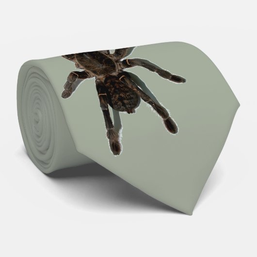 Cravate Tarentule (Roulé)