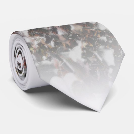 Cravate Temple de Salt Lake (Roulé)