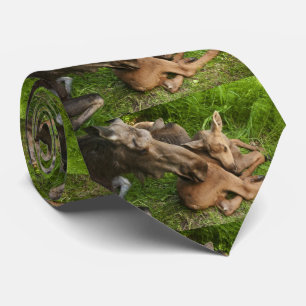 Cravate Tendre Mère Moose