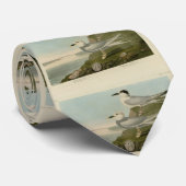 Cravate Tern Audubon Birds of America de Havell et Trudeau (Roulé)