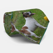 Cravate Terrier Brown Et Blanc De Renard Avec Balle, (Roulé)