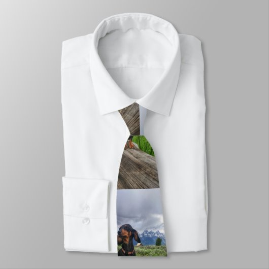 Cravate Tetons grand (Attaché)