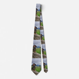 Cravate Tetons grand