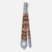 Cravate Texture de peinture d'épluchage (Devant)