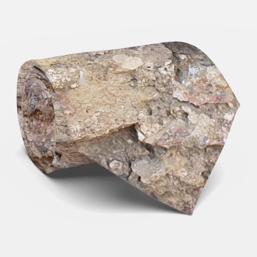 Cravate Texture de pierre rustique sur Terre tons Brown (Roulé)