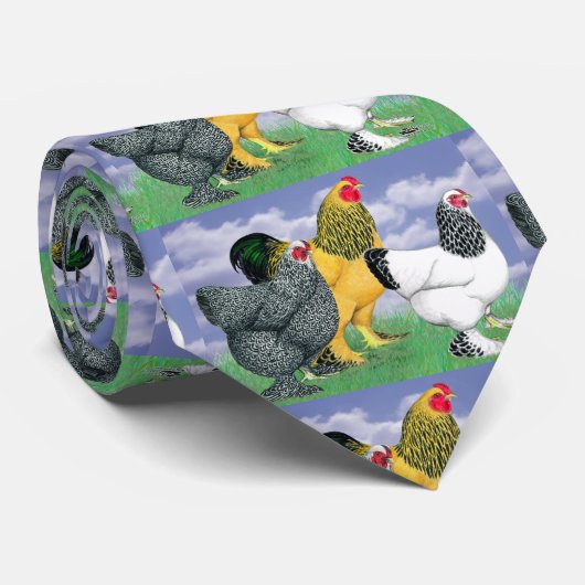 Cravate Three Brahmas (Roulé)