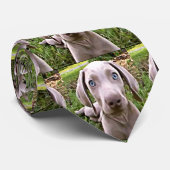 CRAVATE TIE DE TOUTES LES VALEURS (Roulé)