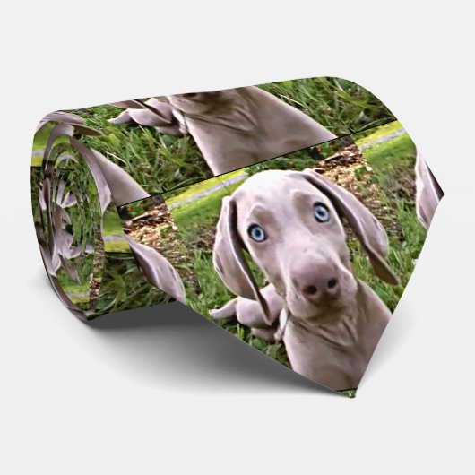 CRAVATE TIE DE TOUTES LES VALEURS (Roulé)