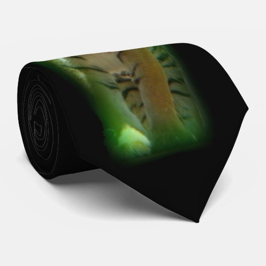 Cravate Tigre (Roulé)