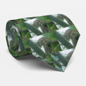 Cravate Tigre dormant dans l'arbre, la forêt, la nature, l (Roulé)