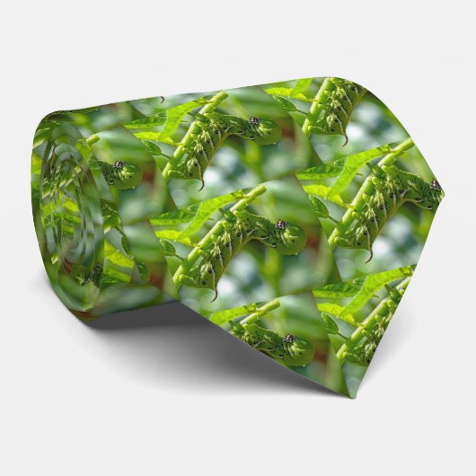 Cravate Tomato (Roulé)