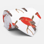 Cravate Tonnerre de perroquet rouge tropical (Roulé)