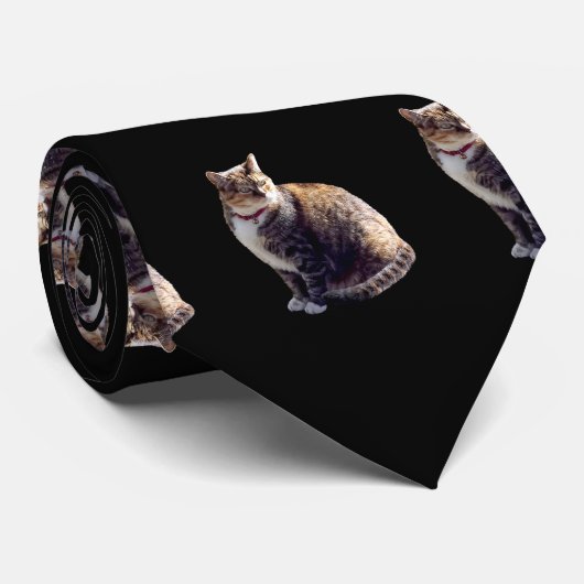 Cravate Tortoiseshell (Roulé)