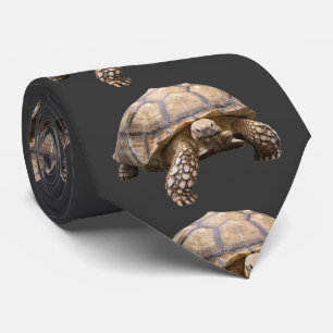 Cravate Tortue aiguillée africaine