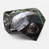 Cravate tortue de boîte orientale (Roulé)