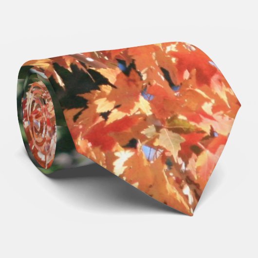 Cravate Touche d'automne (Roulé)