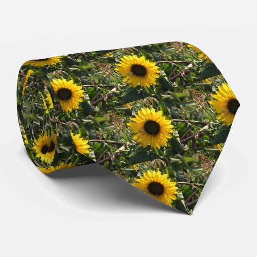 Cravate tournesol (Roulé)