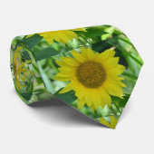 Cravate Tournesol du Kansas (Roulé)