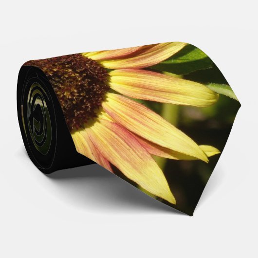 Cravate Tournesol rose fauve (Roulé)