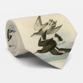 Cravate Townsend's Sandpiper - Audubon's Birds of America (Roulé)