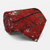 Cravate Tree Fall Season Red Brown Autumn Leaves (Roulé)